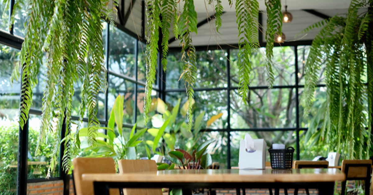 Leia mais sobre o artigo A tendência dos jardins suspensos na arquitetura residencial